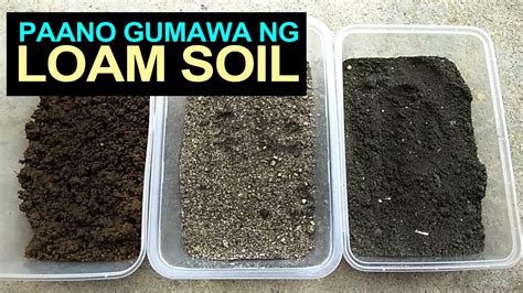 what is loam soil in tagalog|loam in Tagalog .